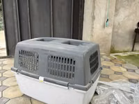 Heyvan daşıma konteyneri (pet carrier) - Material: möhkəm plastik — foto 3