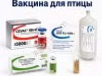Вакцины для сельскохозяйственной птицы — 2 зураг