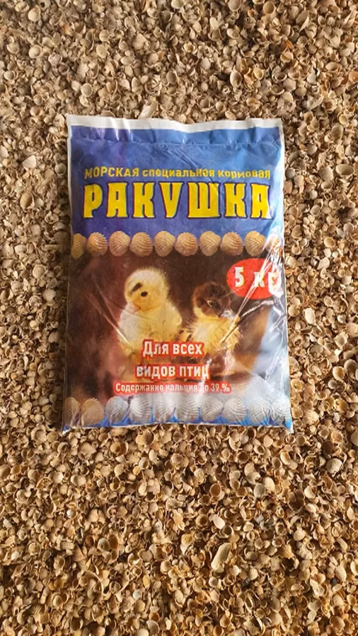 Ракушка морская кормовая