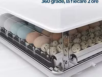 Incubator MS-70 — 照片 2