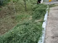 Хужир — foto 5