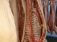 Свинина и субпродукты в ассортименте — Foto 4