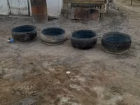 Малга астау, гул егуге де болад — 1 зураг