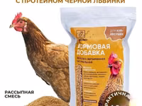 Витамины для кур несушек с Черной львинкой — foto 2