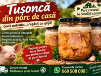 Tusonca de casă — 1 зураг