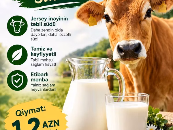 Məhsul: Jersey inəyinin təbii südü Xüsusiyyətlər: - Jersey cinsindən