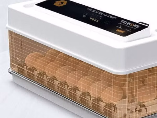 Incubator MS 63