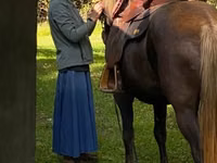 घोड़ा, Rocky Mountain Horse — फ़ोटो 3