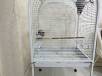 Jako ve boyuk qushlar ucun qefes. Cox az iwlenib. Yeni kimidir. Qiymet — Foto 1