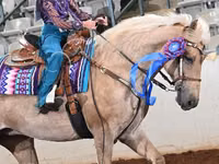Yegua, Palomino — foto 3