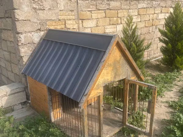 It uchun yuva, arxada qapisida var oz terasinda rahat otura bilir