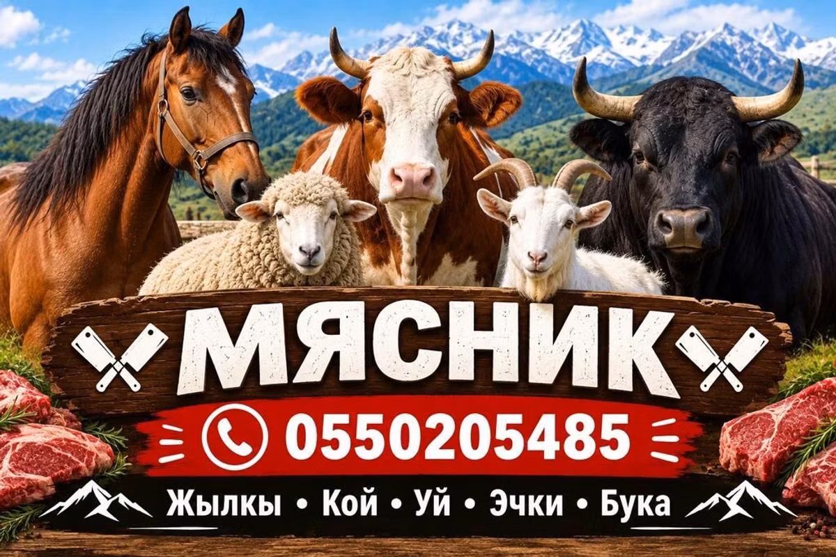 Услуги мясника/касатчы для забоя и разделки скота на выезде. Работаем