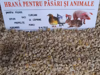 Nutrețuri granulate pentru:păsari și animale.posibel livrare. — फ़ोटो 4