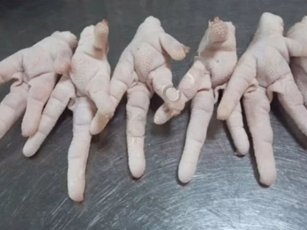Chickens — Russland