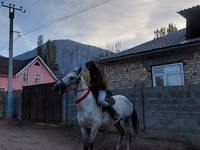 Caballo, Caballos — foto 3