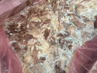 Мясо цыплят бройлеров (шаурма) — Foto 3