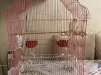 Quş qəfəsi – geniş və rahat model - Material: metal barmaqlıqlar — 照片 2