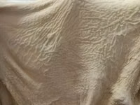 говяжьи и бараньи субпродукты — Foto 5