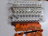 Numbered Eartags — 照片 2