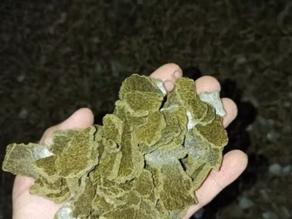 Жмых рапсовый