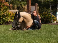Caballo, Caballos — foto 8