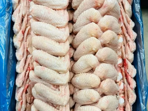 Мясо курицы оптом от 500 кг