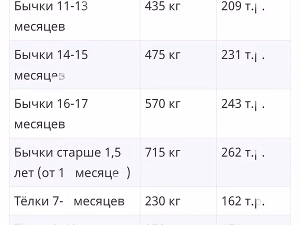 Бух, Абердин – ангус порода