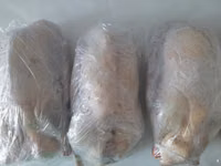 Geese — foto 1