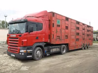 Сывор. протеин- ксб 80% lactalis — 2 зураг