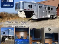 1995 Featherlite Trailers 8546 Gooseneck Horse Trailer — الصورة 1