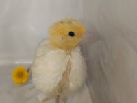 Quails — 4 зураг