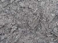 Macuc de Floarea soarelui prăjit.calitate 100%.Edineț. — Foto 1