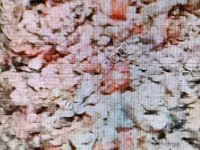 Ассорти из субпродуктов. Корм для собак — foto 2
