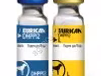ЭУРИКАН DHPPi+L (EURICAN) Вакцина — Foto 3