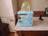 Akvarium balıqları ilə barter olunur.Uzunluğu 27,Eni 28, Hündürlüyü — фото 2