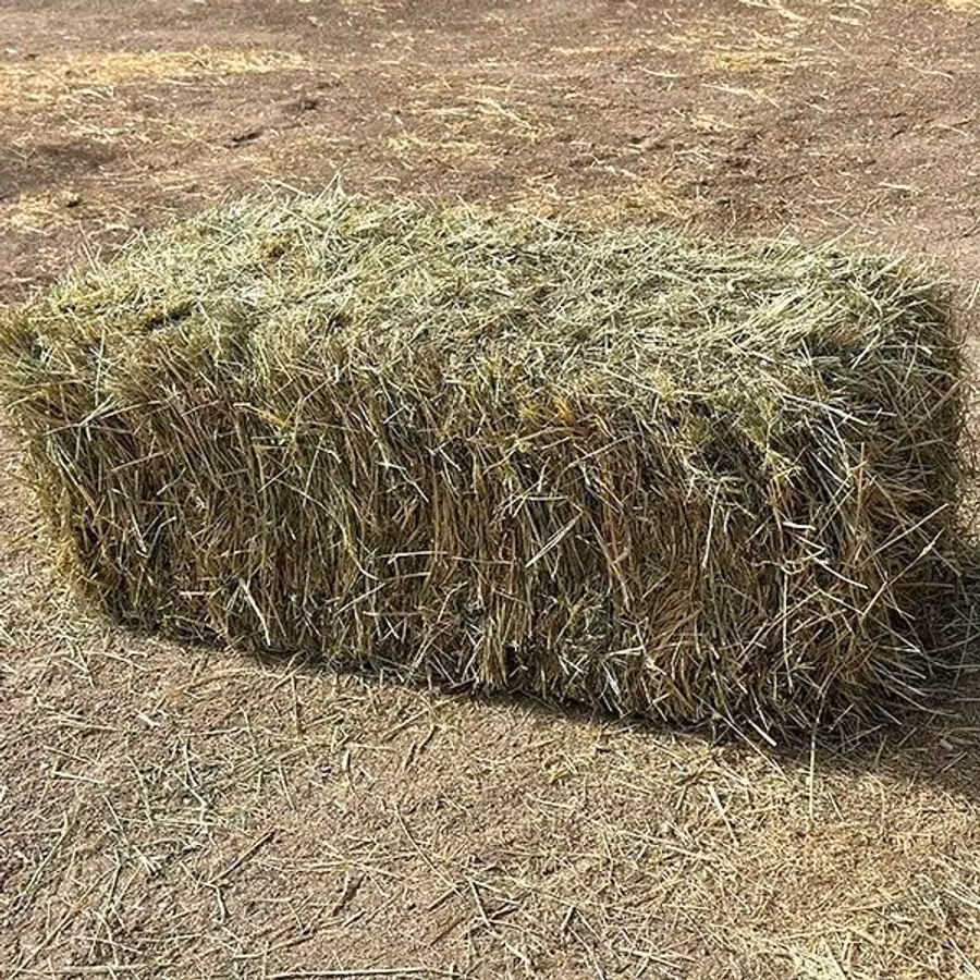 Продам тюки сена лугового