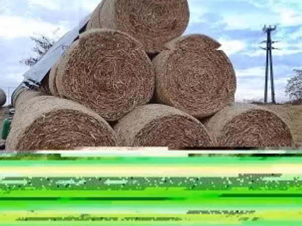 140 körbálás csutka