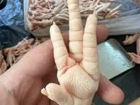 Куриные лапы плюсны с экспортам в китай — 2 зураг