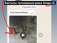 Универсал Дробилка Двигатель 3кВт Молотковые Дробилки зерна — Foto 4