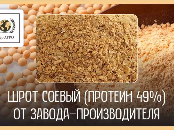 Соевый шрот АСВ 49% и 51% поставки в Актобе