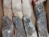 Говядина язык замороженный — फ़ोटो 1