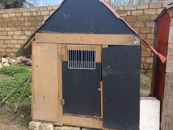 Taxta və metal dam örtüklü quşxana/saxlama daxması - Korpus: qalın