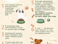 Корм для собак экструдированный — Foto 2