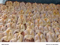 Тушки перепелок. 3500 голов. — photo 2