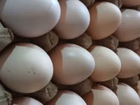 मॉस्को ब्लैक — फ़ोटो 8
