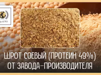 Соевый шрот АСВ 49% и 51% поставки в Актобе — foto 1