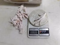 Chickens — Foto 3
