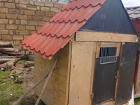 Taxta və metal dam örtüklü quşxana/saxlama daxması - Korpus: qalın — Foto 2