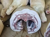 Мясо сви — 3 зураг