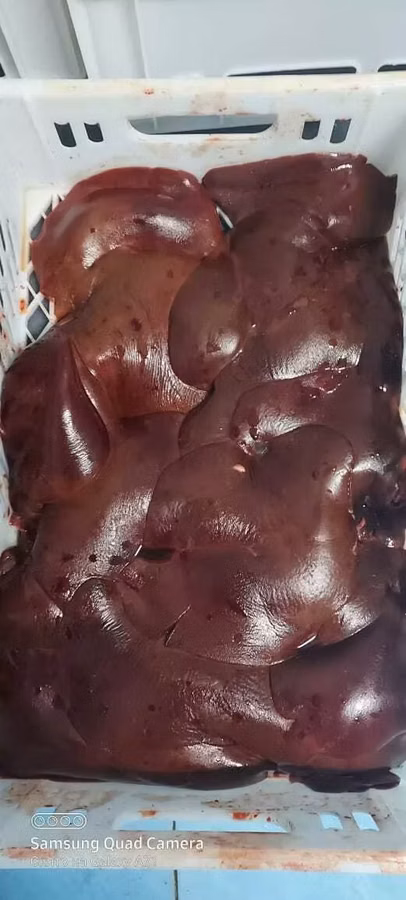 Субпродукты свиные замороженные